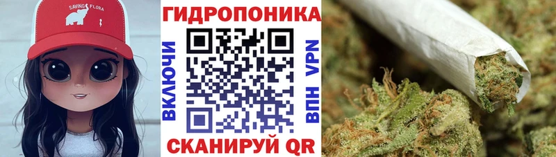 Марихуана MAZAR  KRAKEN зеркало  Рудня 